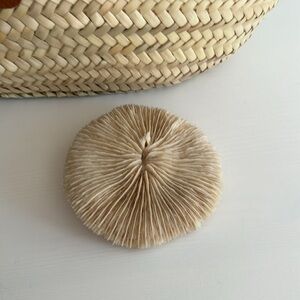 Mushroom Coral Beachy Decor